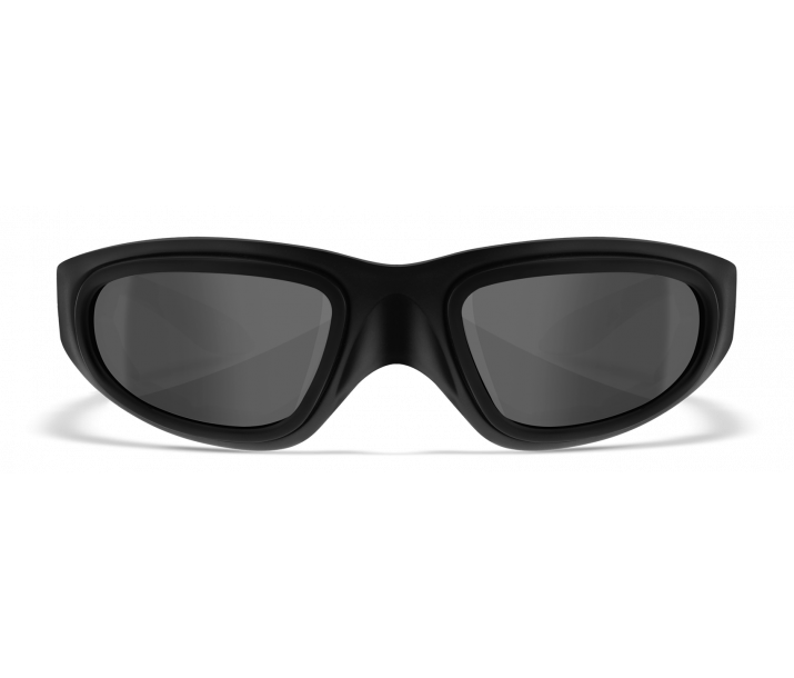 WILEY X - SG-1 - Hybrid Goggle Two-lens